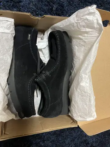 clarks wallabee GORE-TEX