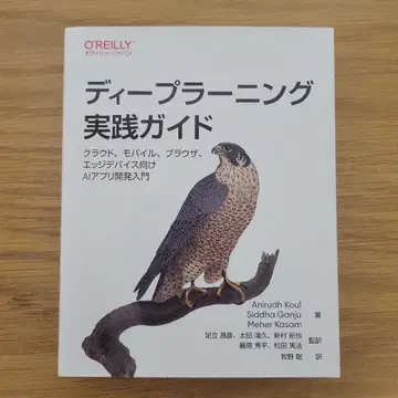 딥러닝 실천 가이드: 클라우드, 모바일, 브라우저, 엣지 디바이스 -