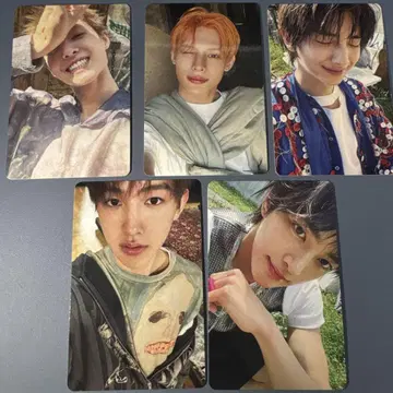 CORTIS 코르티스 트레이딩 카드 weverse 혜택 컴프 세트