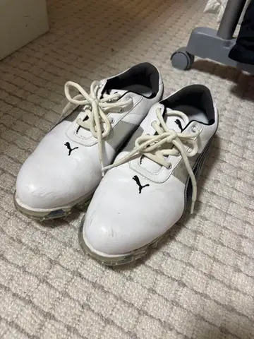 Puma 화이트 골프화 남성용