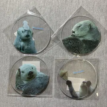 도바 수족관 메이 키라 코스터 x 4