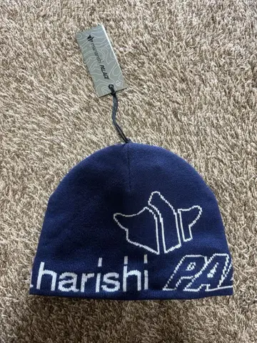 palace 비니