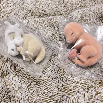 포켓몬 피규어 와카쿠사섬 카라카라 히토카게