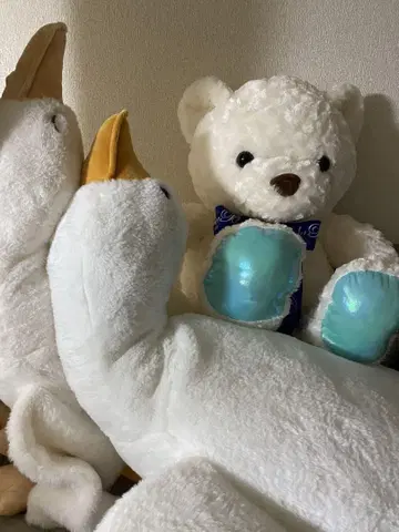 곰과 오리 봉제 인형 세트