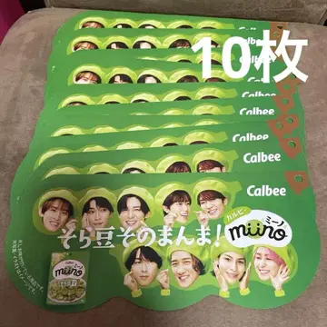 카루비 miino SnowMan 플라이어 전단지 10장 세트