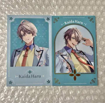 폴라로이드풍 카드 카이다 하루 컴프 세트