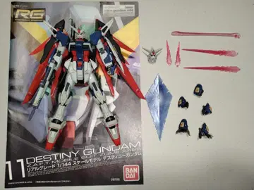 RG 데스티니 건담
