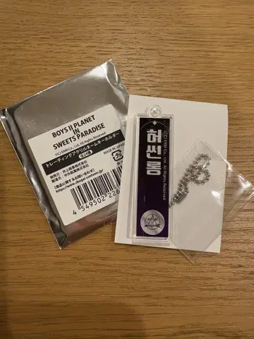 보이플라2 네임 키링 호싱롱