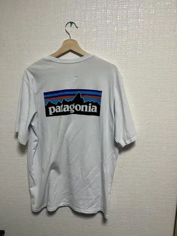 patagonia 화이트 T셔츠