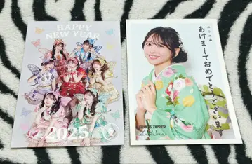 FRUITS ZIPPER 연하장 엽서 세트 카드 케이스에 보관