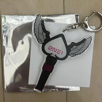 2NE1 아크릴 키링