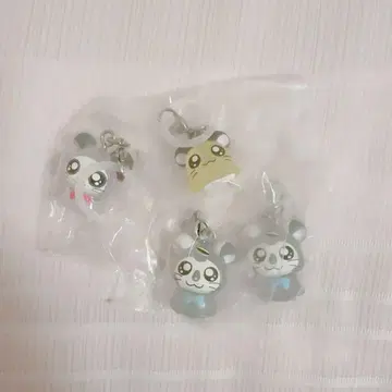 꼬마햄찌 해모 해모 액세서리