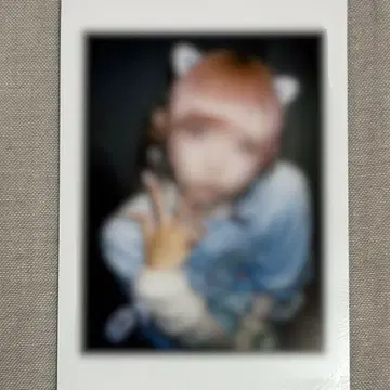 러브식 하야테 폴라로이드