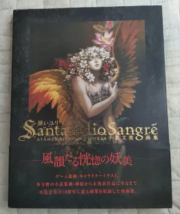 코지마 후미 화집 Santa Lilio Sangre 붉은 백합