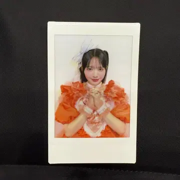 진세이 스즈카 폴라로이드