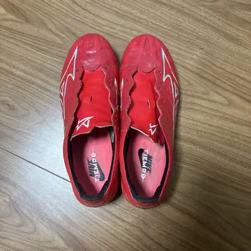 미즈노 알파