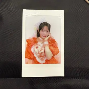 진세이 스즈카 폴라로이드