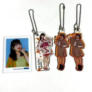 안쥬르므 이세 레이란 하로프로 아크릴 키링 미니미니 브로마이드