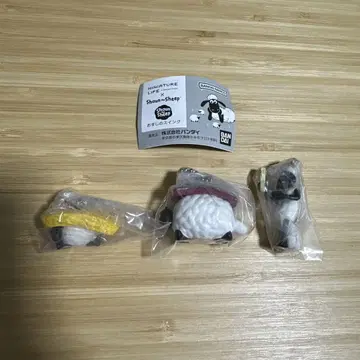 숀더 sheep 초밥 스윙 티미 셜리 숀 3개 세트