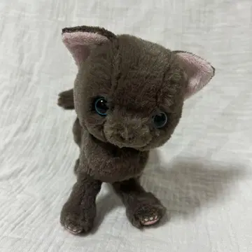 선레몬 러시안 블루 검은 고양이 그레이 kitten