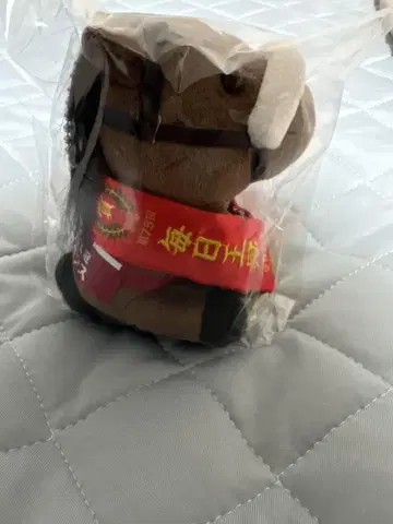 [택 없음] 아이돌 호스 봉제 인형 시펜스 S 사이즈 마이니치 왕관