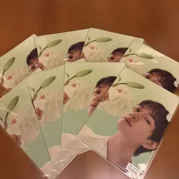 ONEW 오뉴 SAKU 파일 8장 세트 새상품 미사용