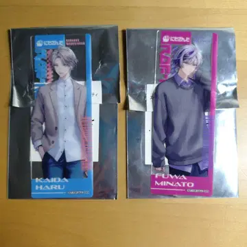 로후마오 마네키네코 클리어 카드 후와 미나토 카이다 하루