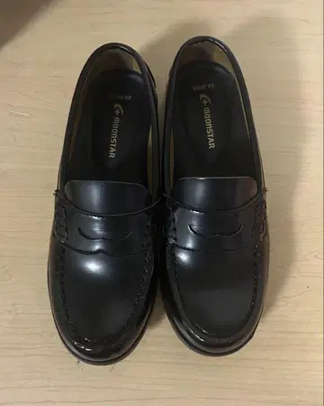 MOONSTAR 로퍼 24.0EEE