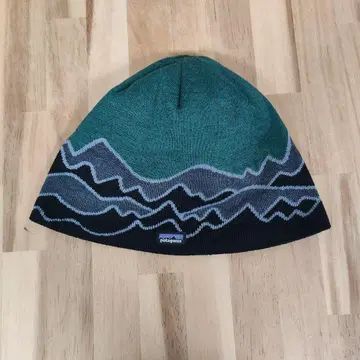 파타고니아 비니 햇 그린 산