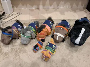 봉제 인형 말 세트 ( 이퀵스, 나리타 브라이언 등 )