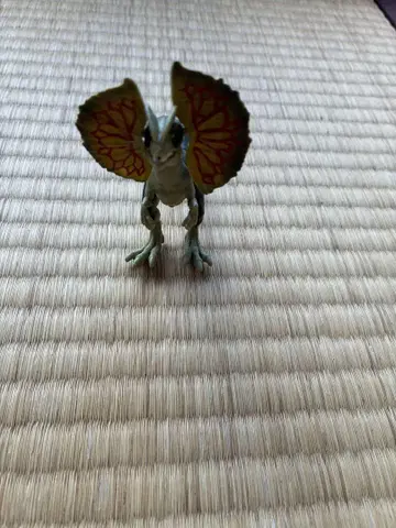 아니아 딜로포사우루스