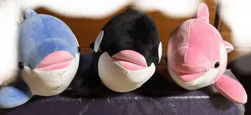 스마 씨 월드 범고래 봉제 인형 3종 전체 길이 약 20cm