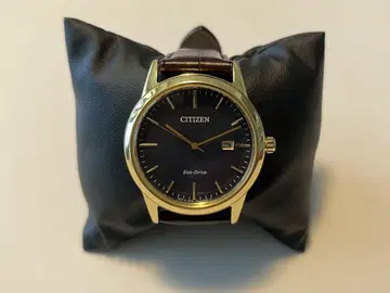 CITIZEN 시티즌 에코 드라이브 쿼츠 J810-S097096