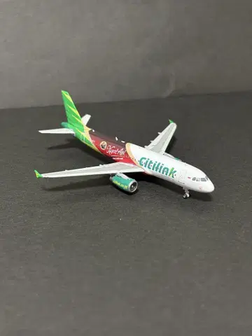 Citilink 에어버스 A320 특별 도색 모델