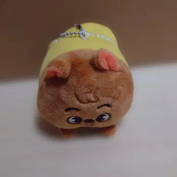 straykids 스키즈 한쿼카 백참