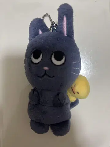 RIIZE 원빈 토냥도크 10cm 키링
