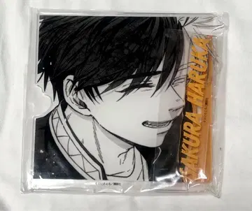 윈드브레이커 온라인 복권 웹폰 B상 아크릴 피규어 사쿠라 하루카