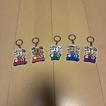 캐릭터 키링 5개 세트
