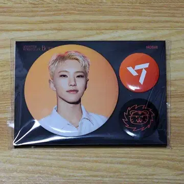 SEVENTEEN BE THE SUN 캔뱃지 호시