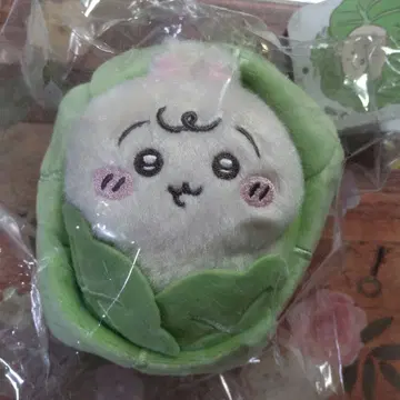 치이카와 베이비 마스코트 토끼 치이카와 (먼작귀) 양배추