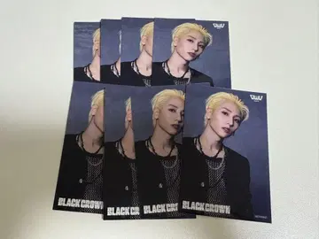 OWV BLACKCROWN 우라노 슈타