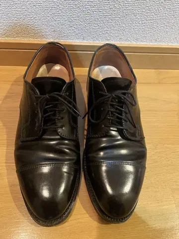 알든 코도반 BROOKS BROTHERS 콜라보