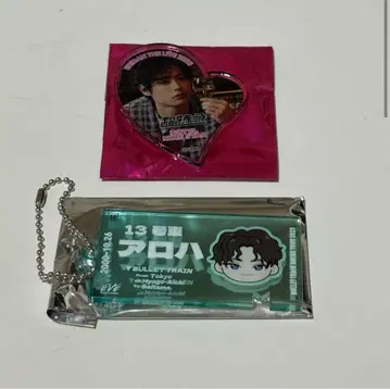 초특급 에비라이 마그넷 EVE 티켓 키링 하와이안
