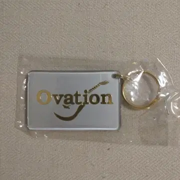 Ovation 키링 실버