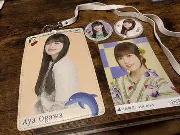 노기자카 캔배지 오가와 아야 브로마이드 홀더