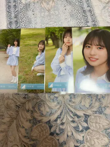 히나타자카46 브로마이드 쇼겐지 요코