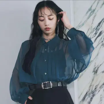 [ 익명 배송 ] 시어 플리츠 셔츠 HARE