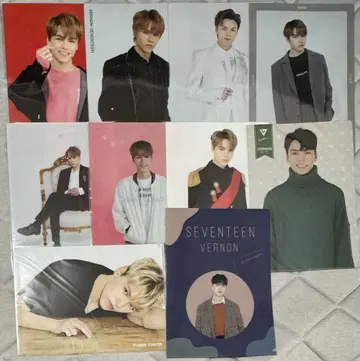 버논 클리어 파일