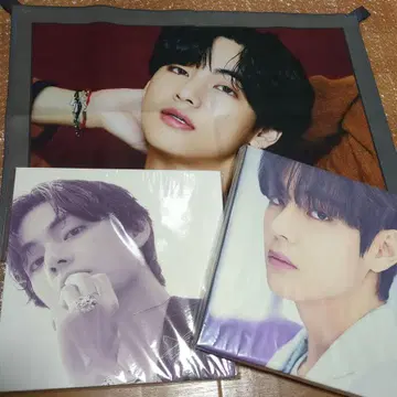 BTS V 태태 패브릭 포스터 사진 캔버스
