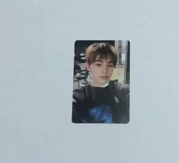 cortis 콜티스 송현 트레이딩 카드 weverse album